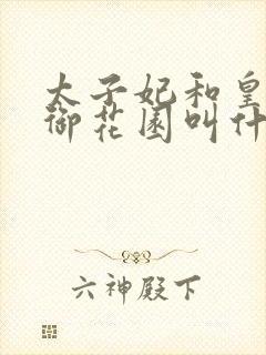 太子妃和皇帝在御花园叫什么小说