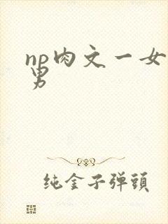 np肉文一女多男封面