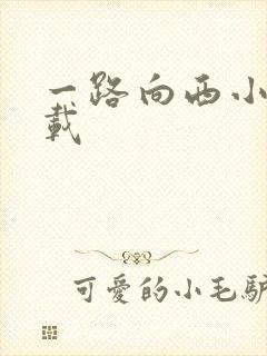 一路向西小说下载