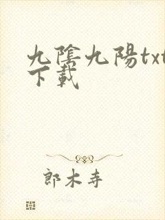 九阴九阳txt下载封面
