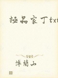 极品家丁txt
