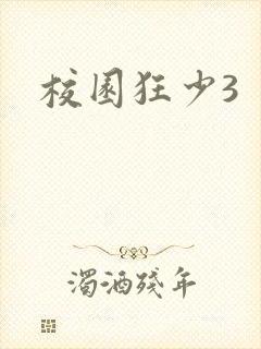 校园狂少3