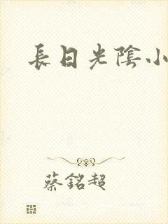 长日光阴小说