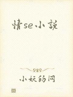 情se小说