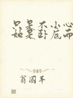 只是不小心发现她是卧底而已封面
