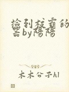 捡到校霸的遥控器by阳阳