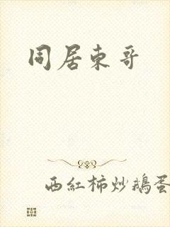 同居东哥封面