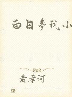 白日梦我小说