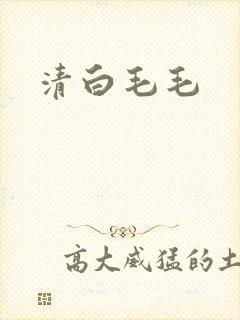 清白毛毛
