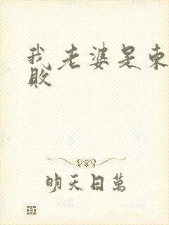 我老婆是东方不败封面
