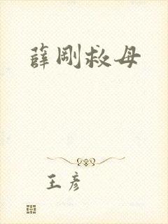 薛刚救母