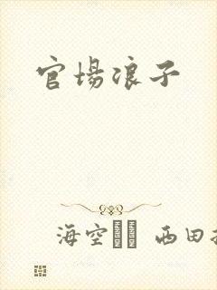 官场浪子