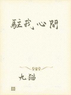 驻我心间封面