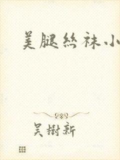 美腿丝袜小说