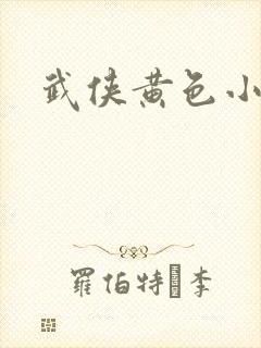 武侠黄色小说封面
