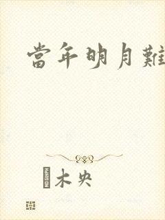 当年明月难寻封面