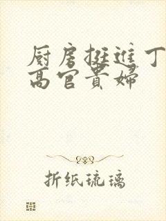 厨房挺进丁字裤高官贵妇