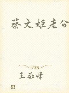 蔡文姬老公