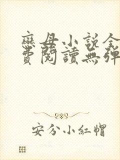 恋母小说全文免费阅读无弹窗笔趣阁封面