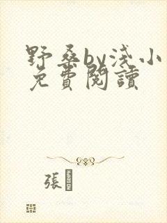 野桑by浅小说免费阅读