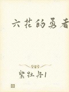 六花的勇者小说