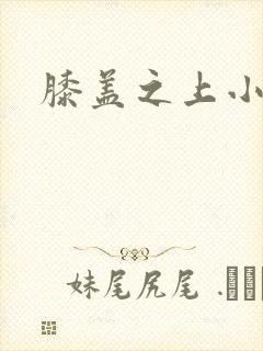 膝盖之上小说