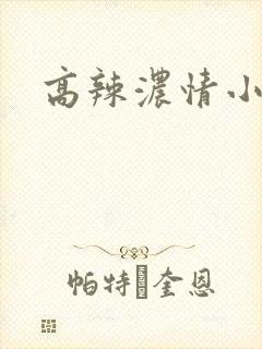 高辣浓情小说