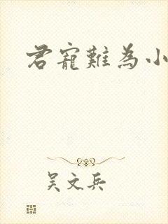 君宠难为小说