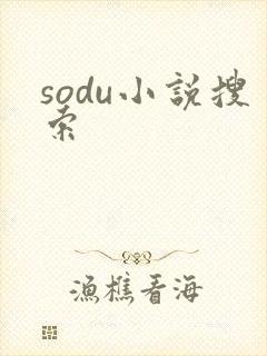 sodu小说搜索封面