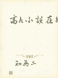 高h小说在线看封面