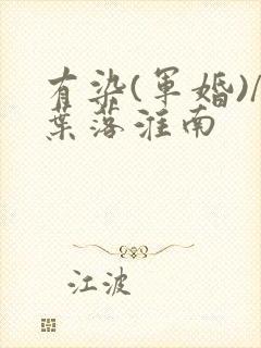 有染(军婚)/叶落淮南封面