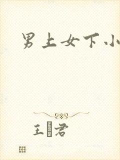 男上女下小说