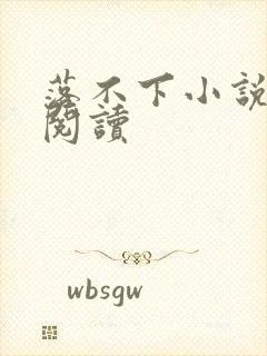 落不下小说免费阅读