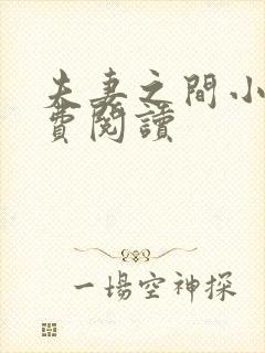 夫妻之间小说免费阅读