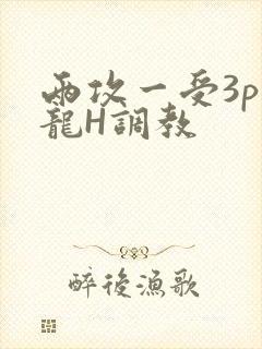 两攻一受3p双龙H调教