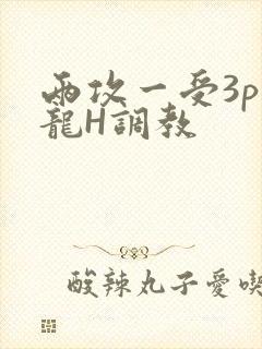 两攻一受3p双龙H调教