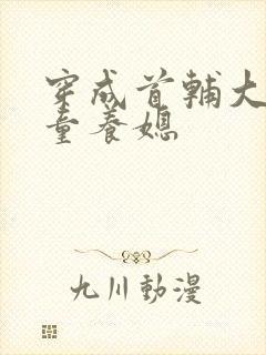 穿成首辅大人的童养媳