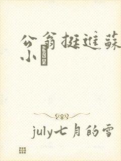 公翁挺进苏玥的小泬