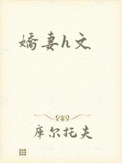 娇妻h文