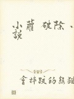 小萝 破除 小说