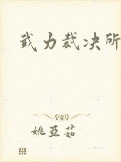 武力裁决所
