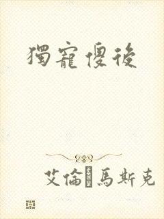 独宠傻后封面