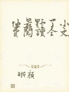 他最野了小说免费阅读全文封面