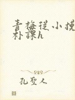 青梅从小摸到大补课h