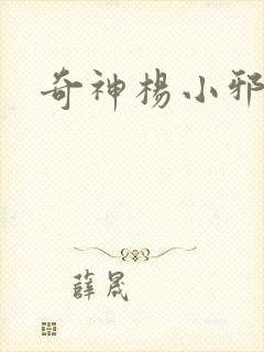 奇神杨小邪封面