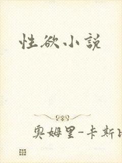 性欲小说