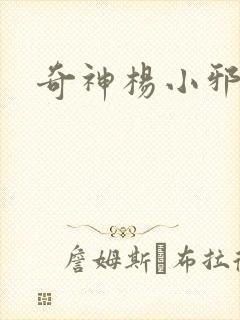 奇神杨小邪