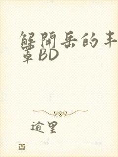 解开岳的丰满奶罩BD封面