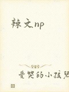 辣文np