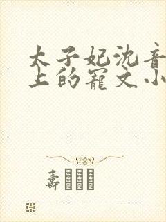 太子妃沈音和皇上的宠文小说